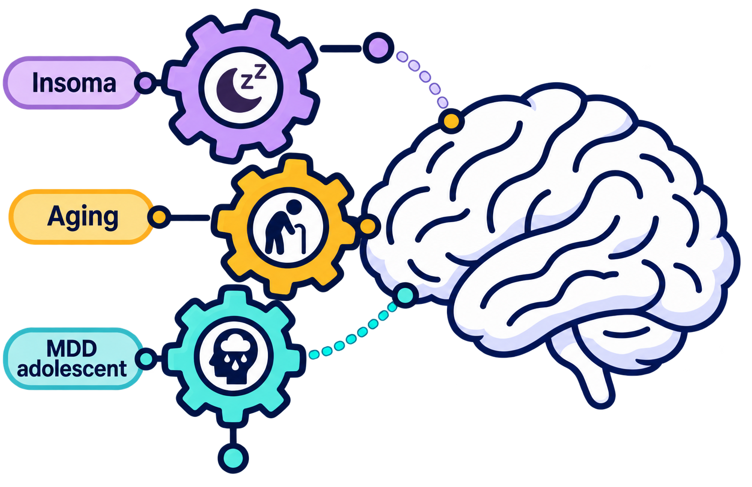 Individual Differences in Emotion and Memory